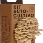 kit de autocultivo de setas