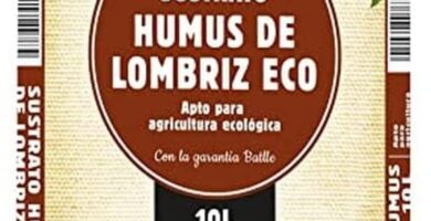 humus-de-lombriz-setas