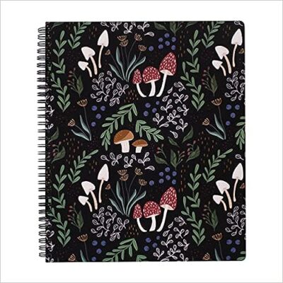 cuaderno-con-varias-setas